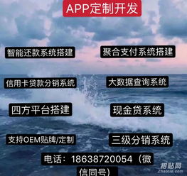 刷臉支付APP系統(tǒng)與票務代理服務的融合開發(fā)